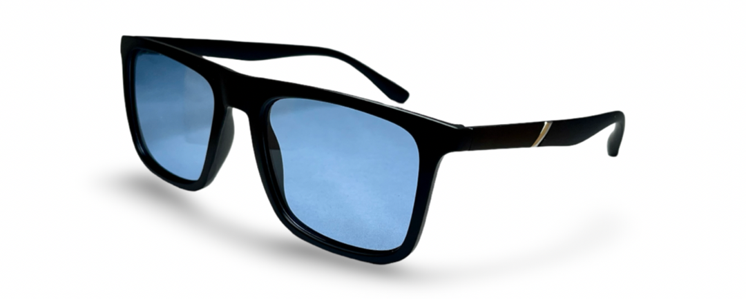 Polarized Homer Blue — vista 2