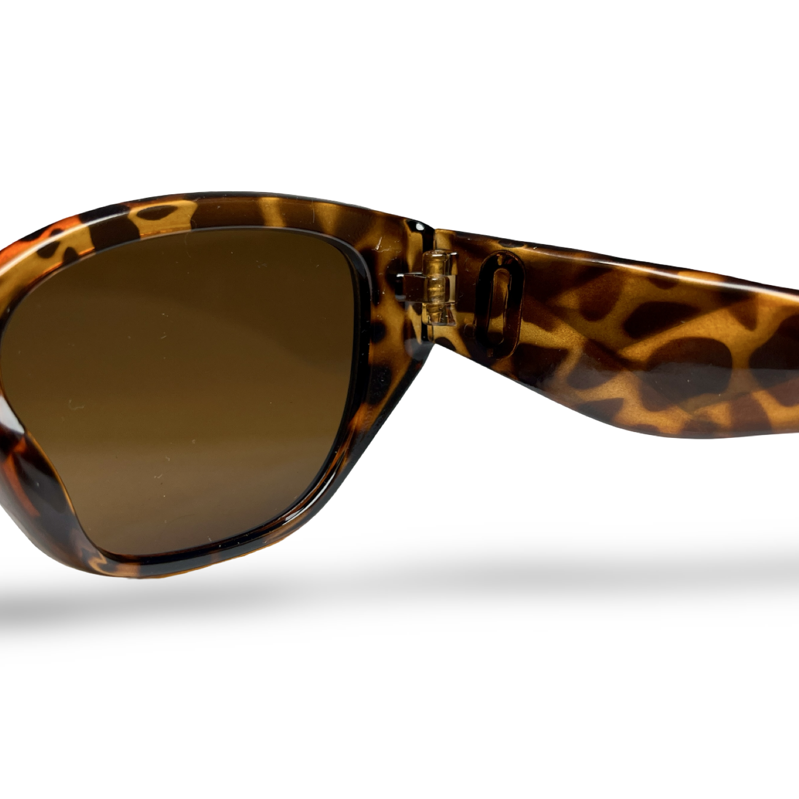 Generic Surprise Leopard — vista 4