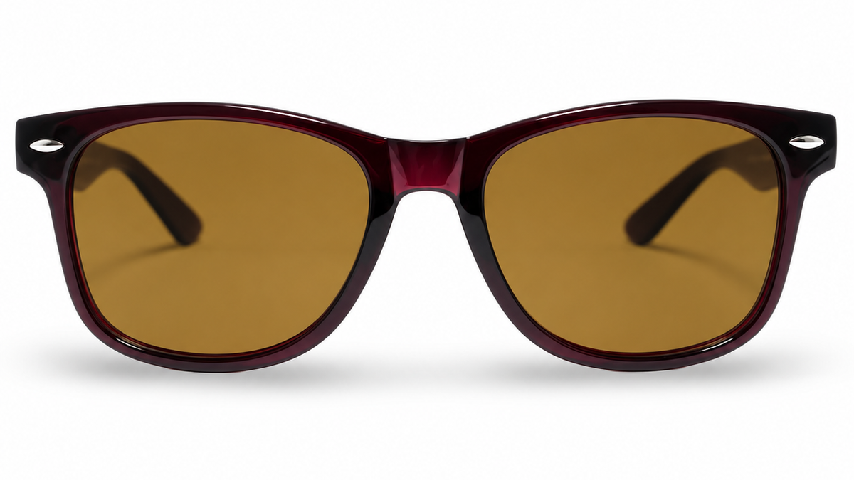 POLARIZED NEVER HIDE SEPIA C3 3111379 — lentes de sol