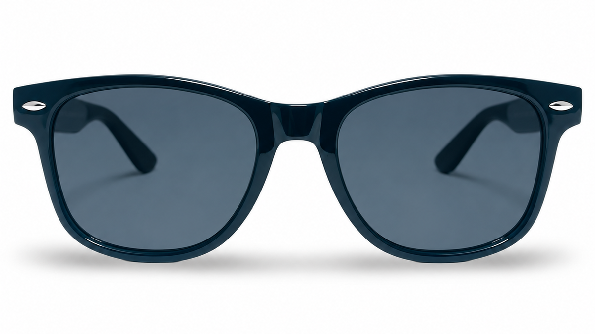 POLARIZED NEVER HIDE BLACK C1 3111377 — lentes de sol