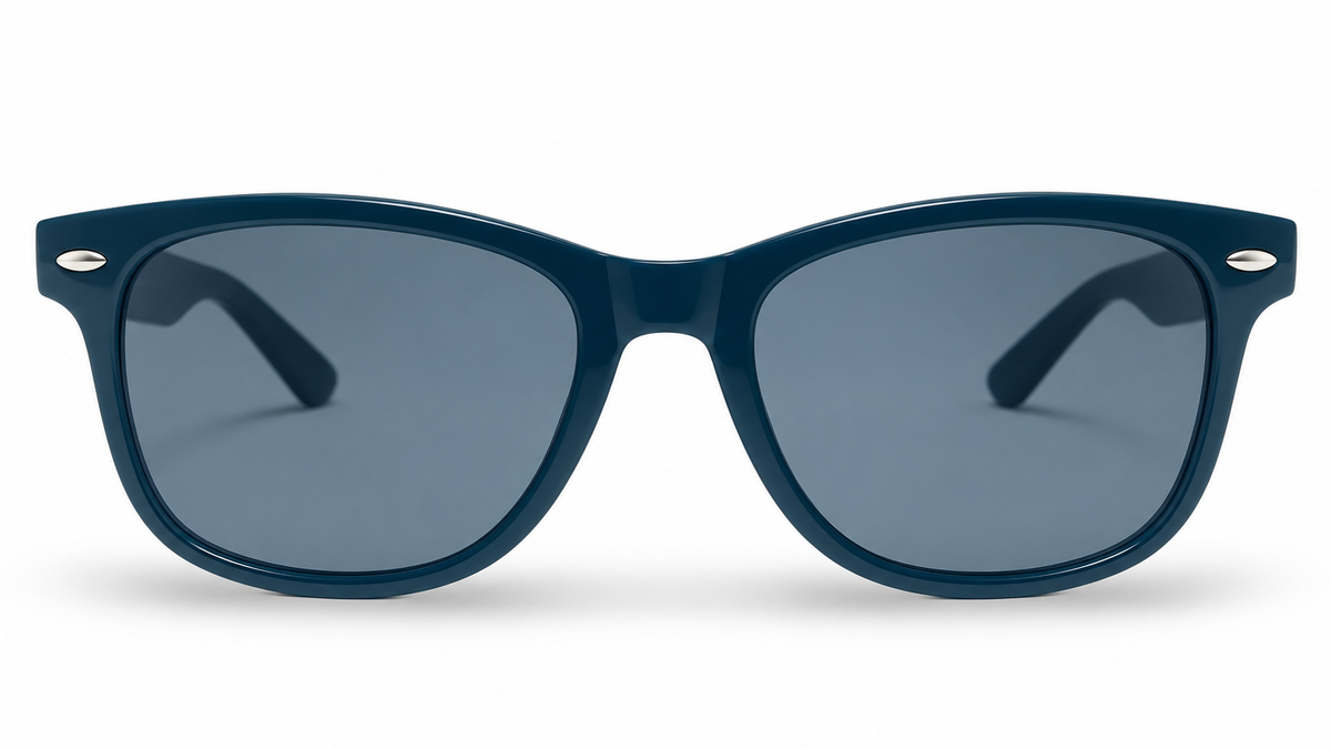 POLARIZED NEVER HIDE BLACK C2 3111378 — lentes de sol