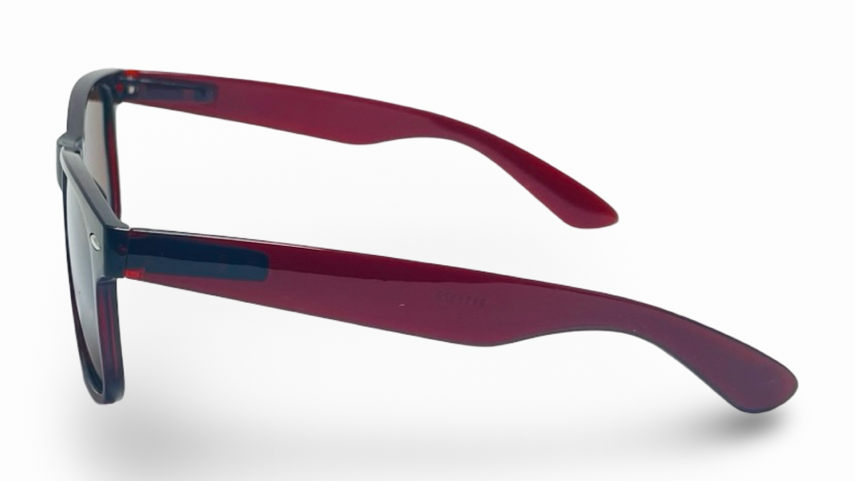 POLARIZED NEVER HIDE SEPIA C3 3111379 — lentes de sol
