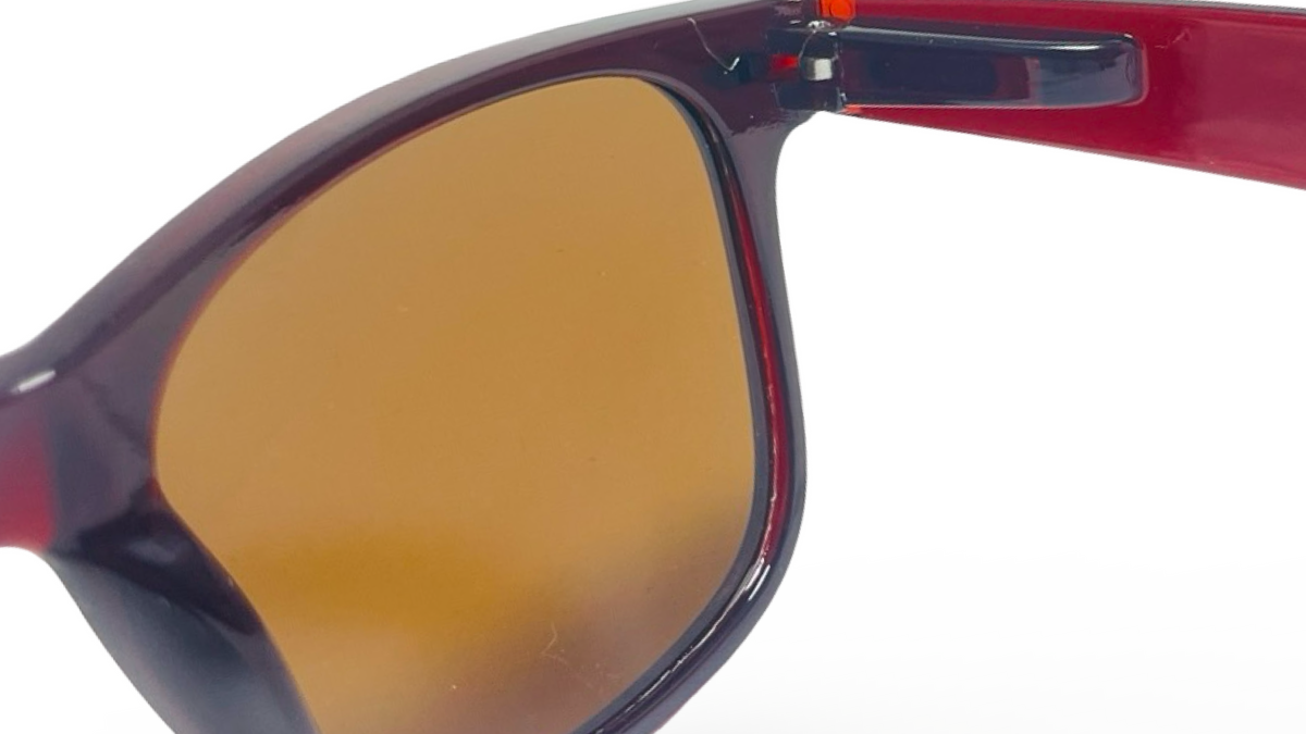 POLARIZED NEVER HIDE SEPIA C3 3111379 — lentes de sol