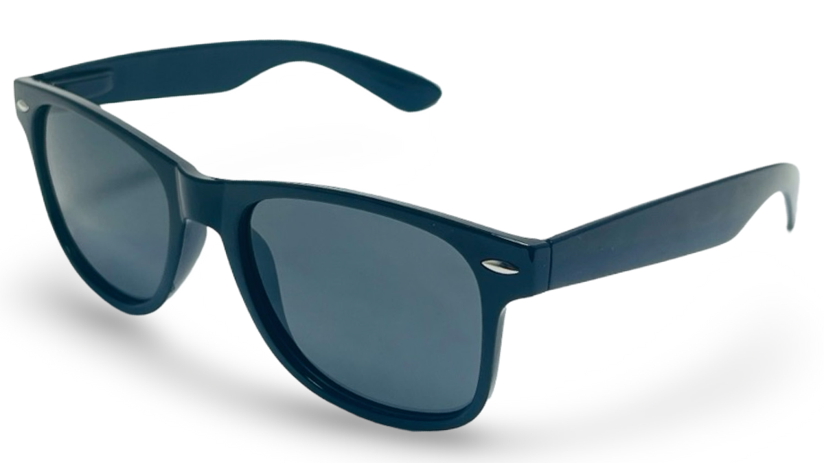 POLARIZED NEVER HIDE BLACK C1 3111377 — lentes de sol