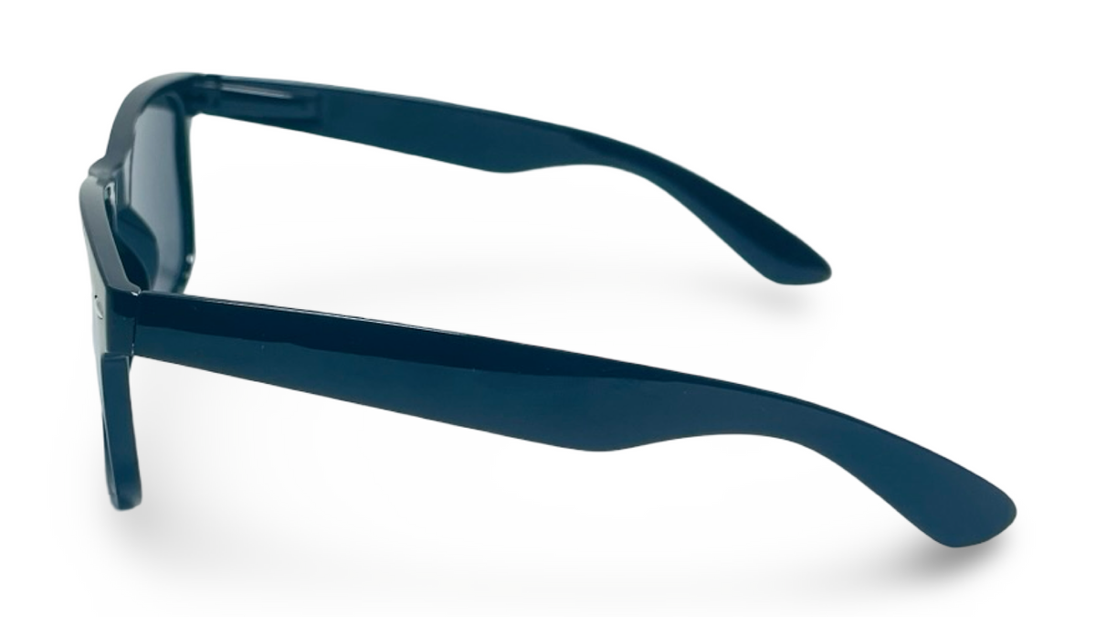 POLARIZED NEVER HIDE BLACK C1 3111377 — lentes de sol