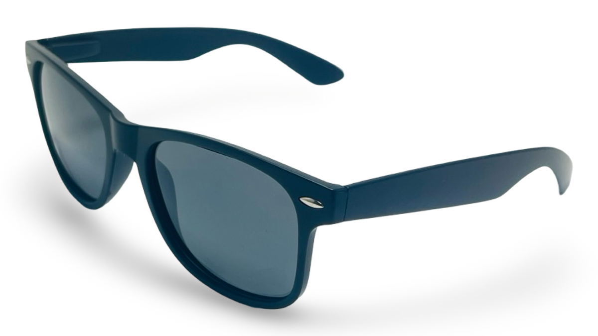 POLARIZED NEVER HIDE BLACK C2 3111378 — lentes de sol