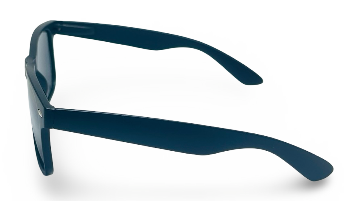 POLARIZED NEVER HIDE BLACK C2 3111378 — lentes de sol