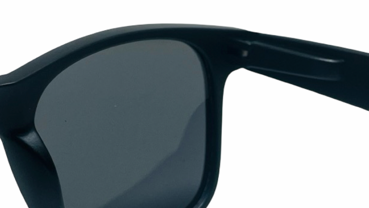 POLARIZED NEVER HIDE BLACK C2 3111378 — lentes de sol