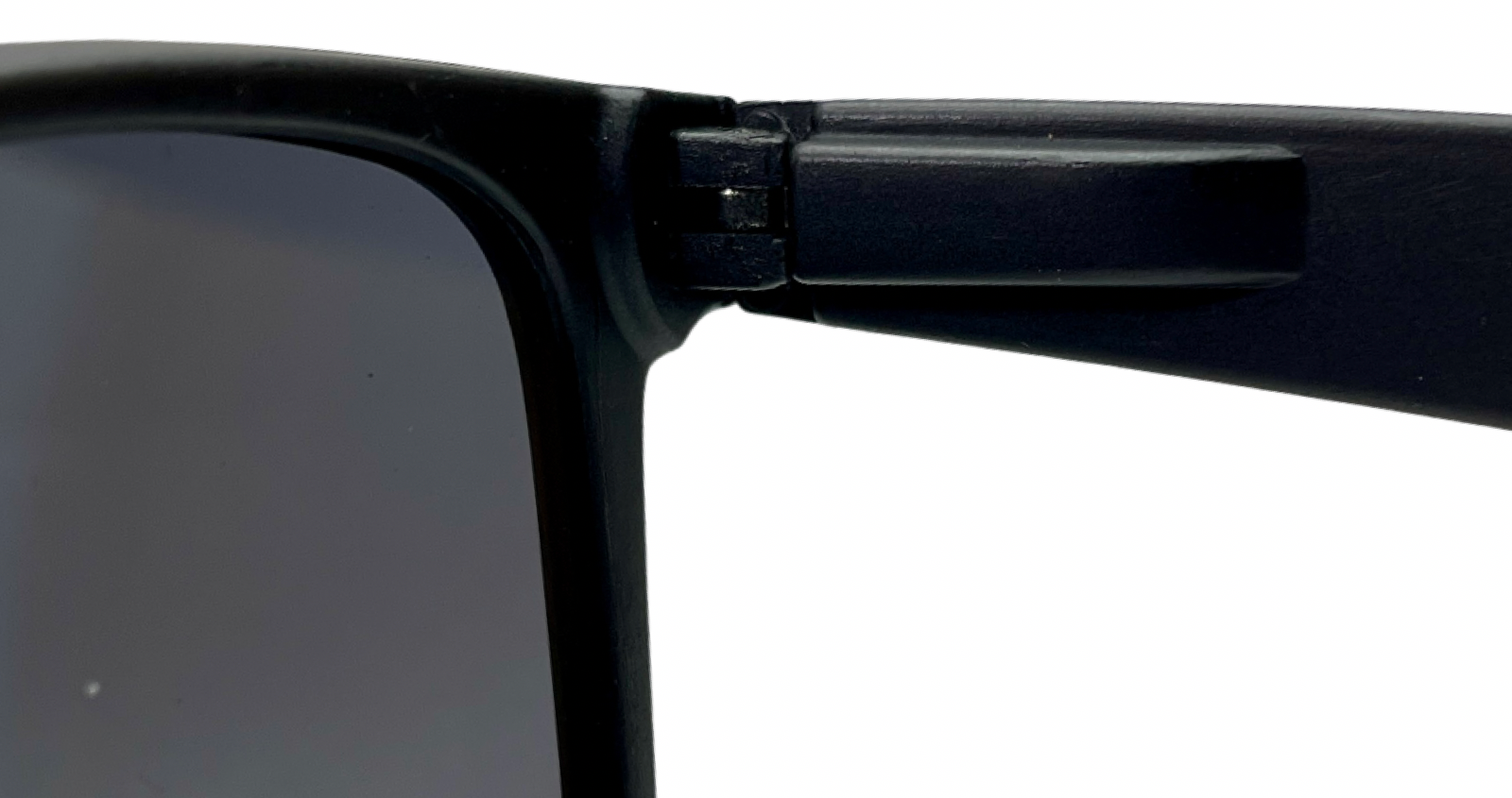Polarized Never Hide — vista 4