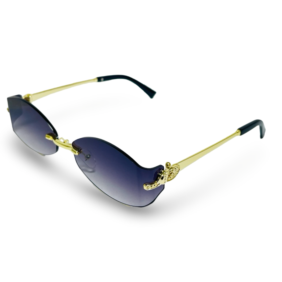 GENERIC RIVIERA B5462GN — lentes de sol