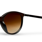 Generic Spunk Brown — vista 4