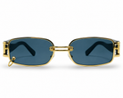 GENERIC AMANTIS BLACK B5423BK — lentes de sol