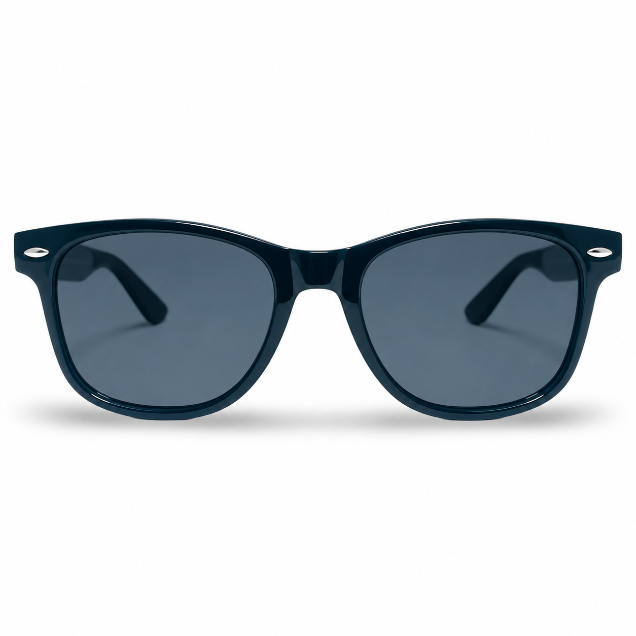 POLARIZED NEVER HIDE BLACK C1 3111377 — lentes de sol