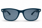 POLARIZED NEVER HIDE BLACK C2 3111378 — lentes de sol