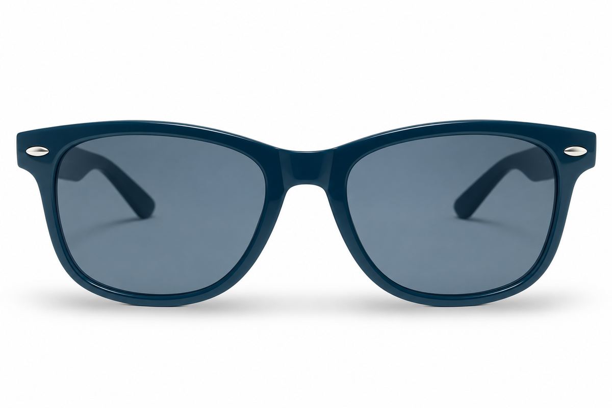 POLARIZED NEVER HIDE BLACK C2 3111378 — lentes de sol
