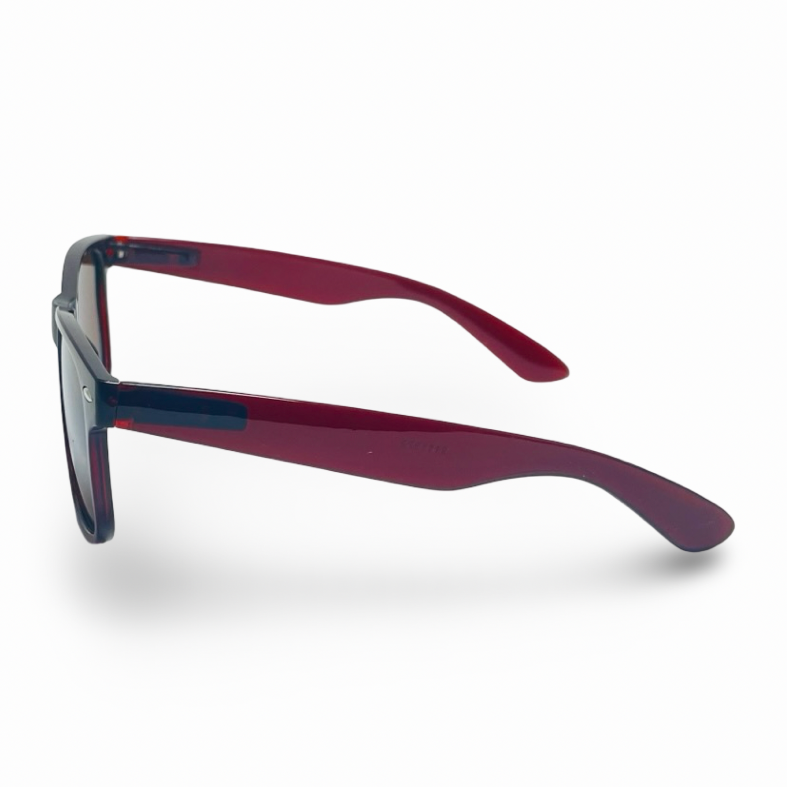 POLARIZED NEVER HIDE SEPIA C3 3111379 — lentes de sol