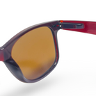 POLARIZED NEVER HIDE SEPIA C3 3111379 — lentes de sol
