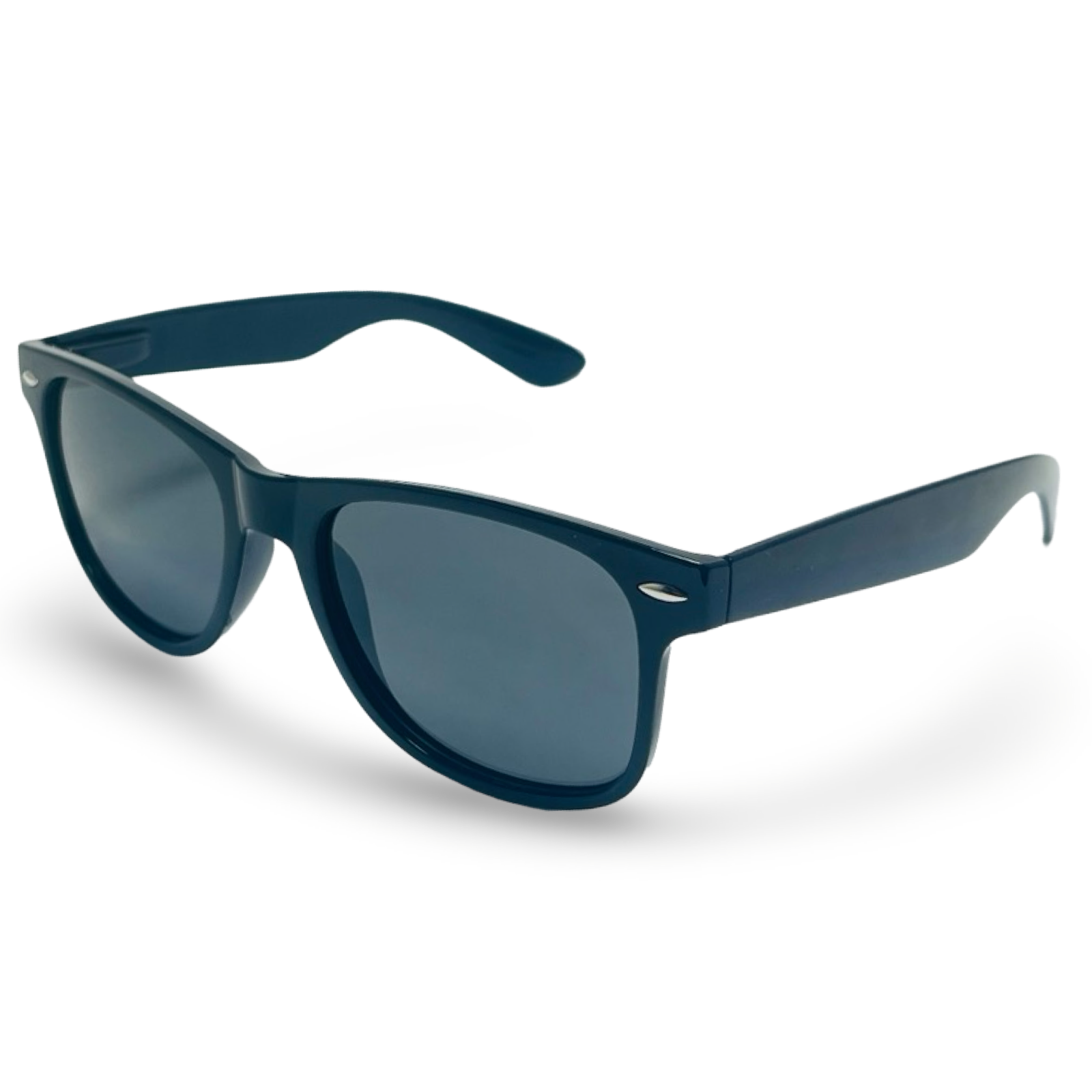 POLARIZED NEVER HIDE BLACK C1 3111377 — lentes de sol