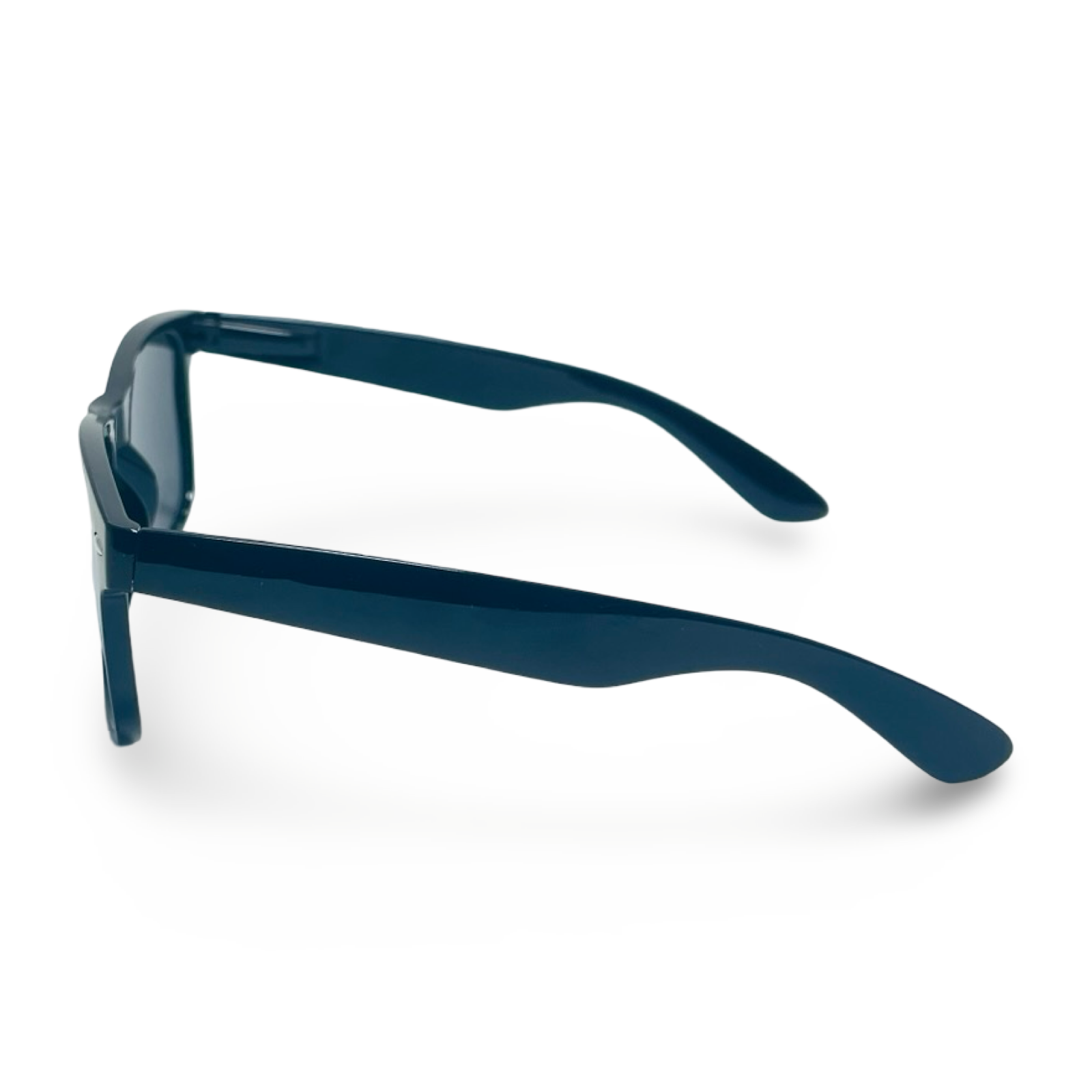 POLARIZED NEVER HIDE BLACK C1 3111377 — lentes de sol