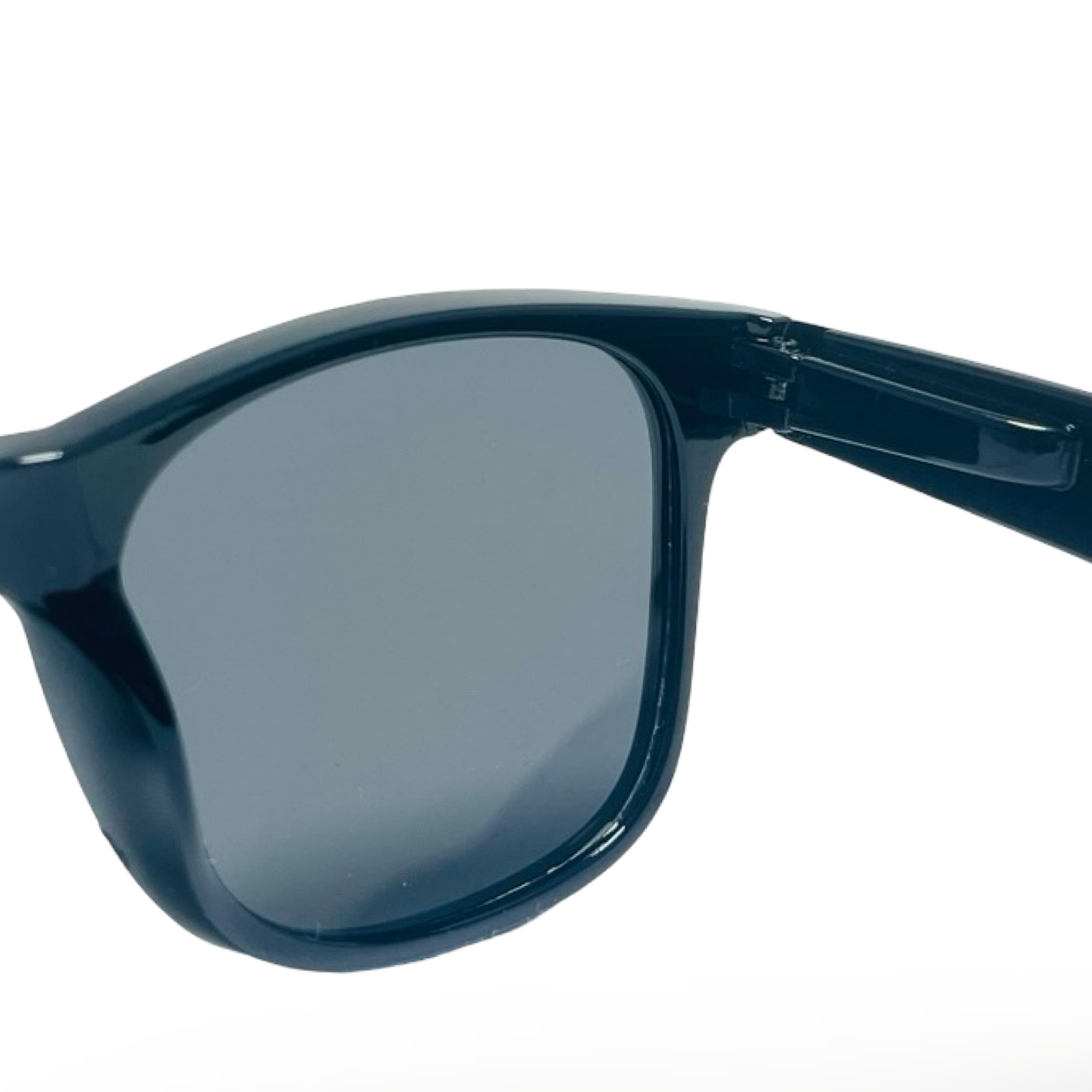 POLARIZED NEVER HIDE BLACK C1 3111377 — lentes de sol