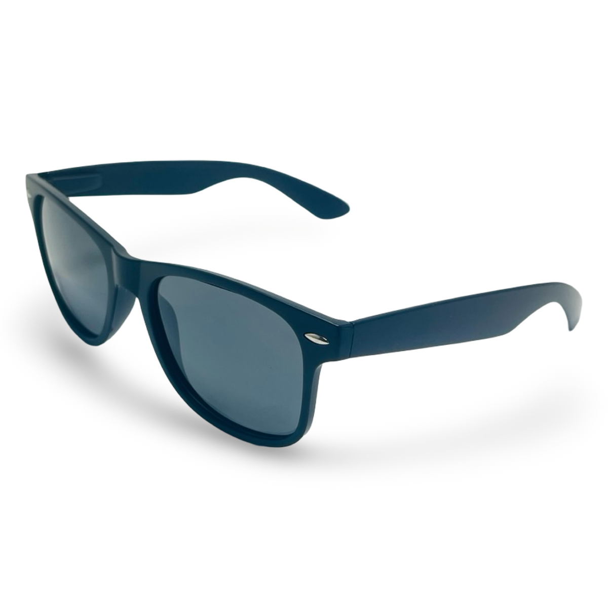 POLARIZED NEVER HIDE BLACK C2 3111378 — lentes de sol