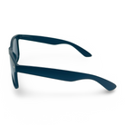 POLARIZED NEVER HIDE BLACK C2 3111378 — lentes de sol