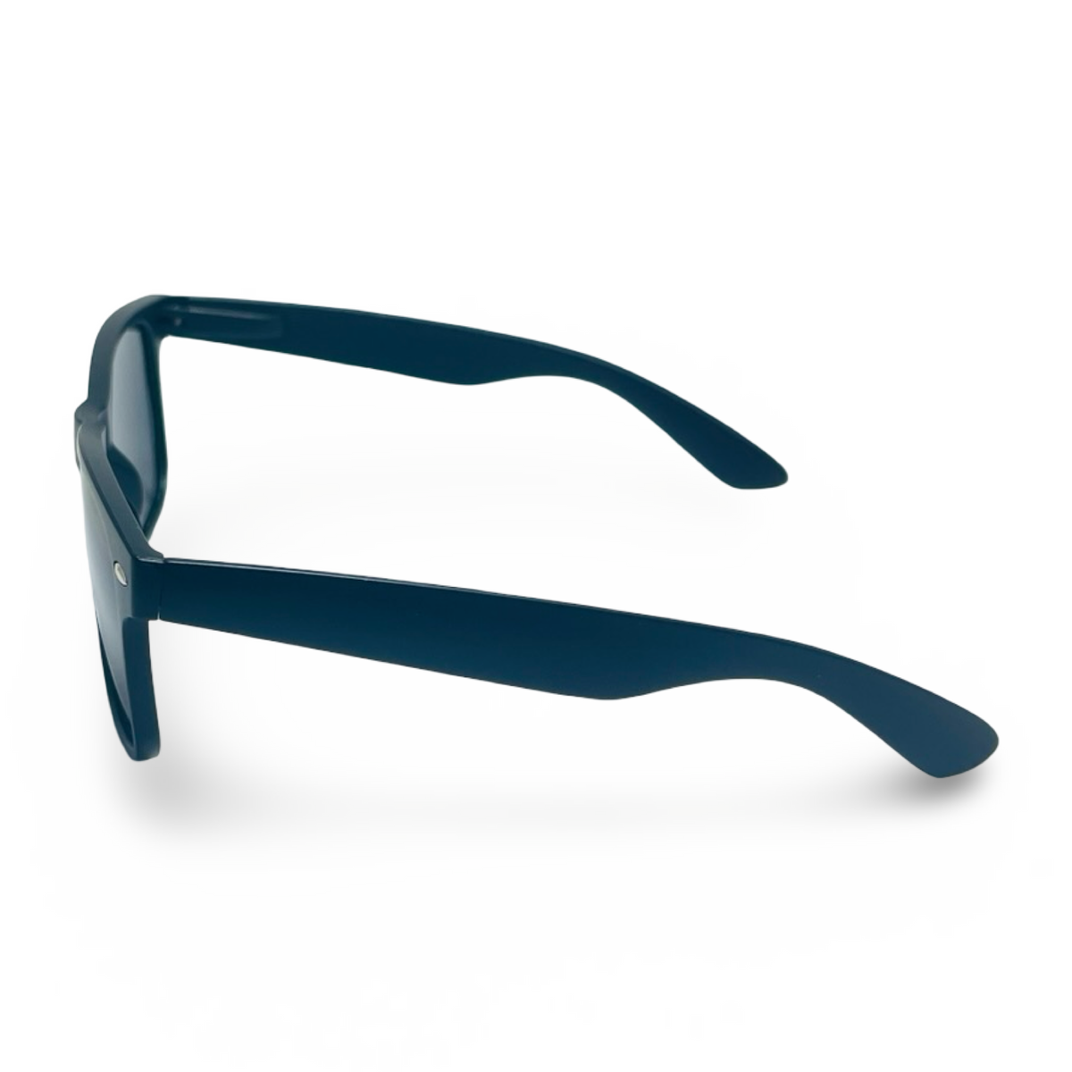 POLARIZED NEVER HIDE BLACK C2 3111378 — lentes de sol