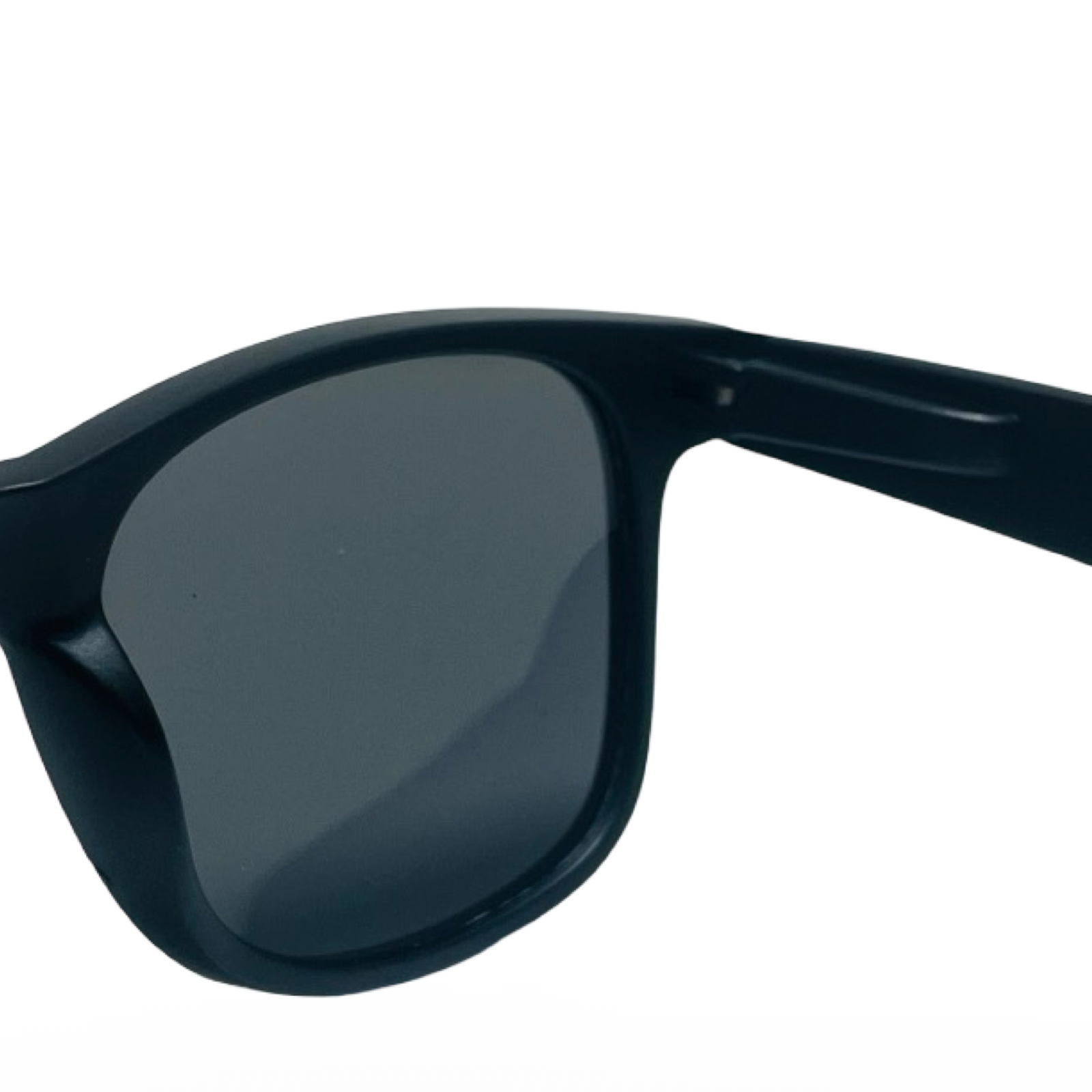 POLARIZED NEVER HIDE BLACK C2 3111378 — lentes de sol