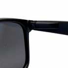 Polarized Never Hide — vista 4