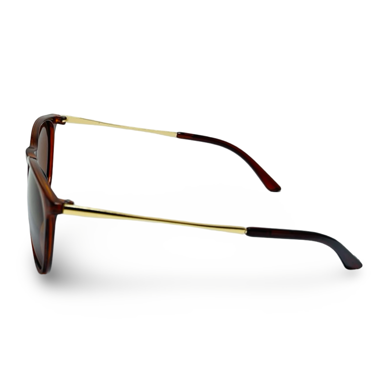 POLARIZED MIA SEPIA C2 3111382 — lentes de sol