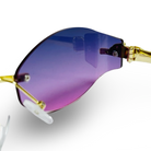 GENERIC RIVIERA B5462PK — lentes de sol