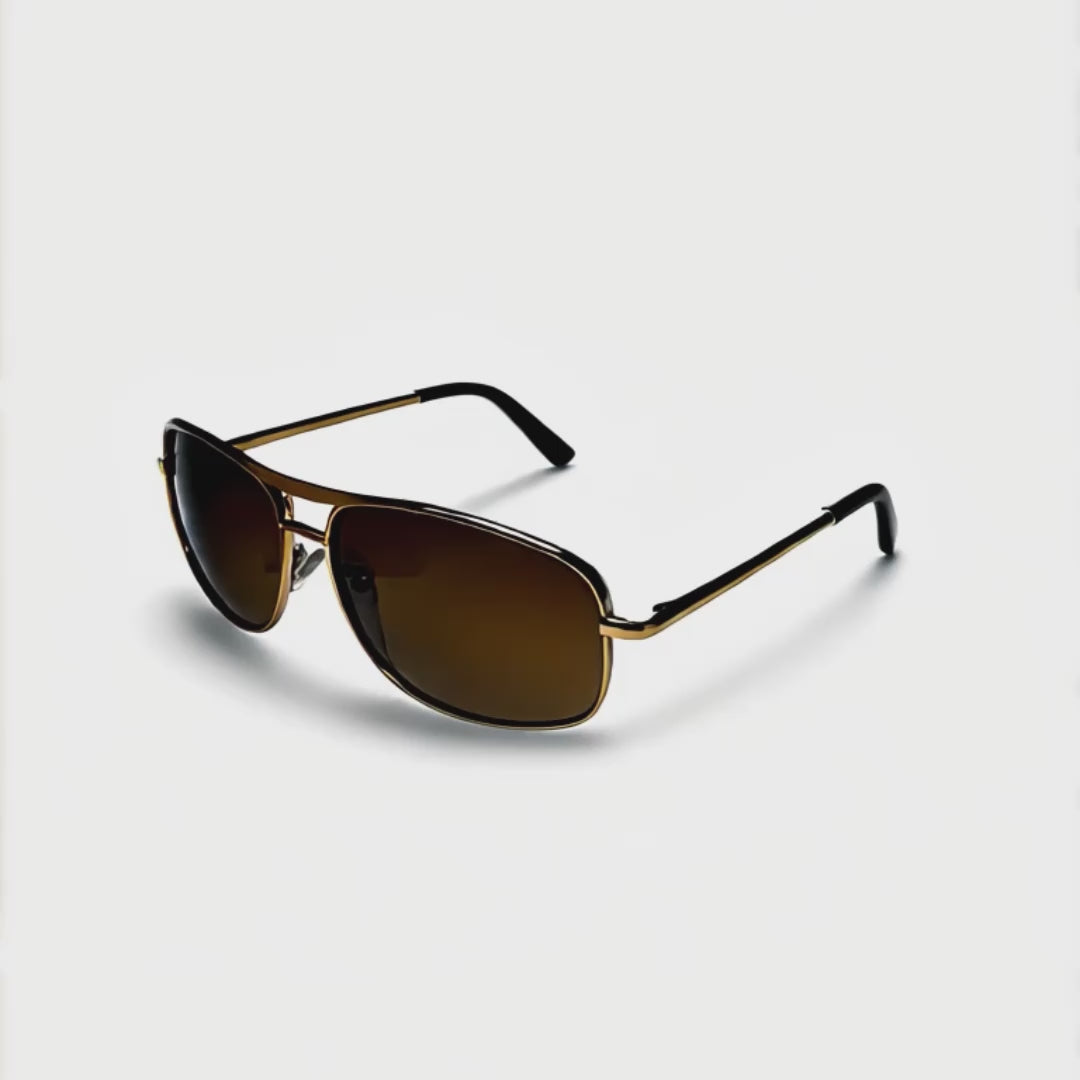 Polarized Lorentz Sepia — video